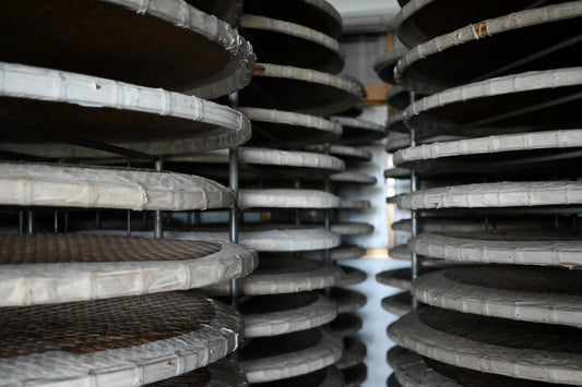 茶葉凋謝的過程稱為「萎凋」