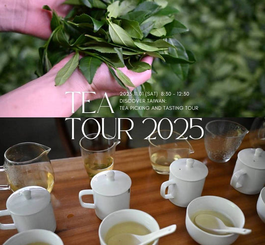 🍃 第二回 TEA TOUR｜🌿 坪林秋季製茶體驗之旅 🌿