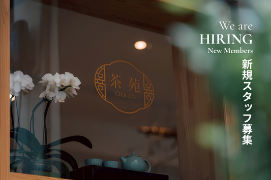 新規スタッフ募集｜We are Hiring new members