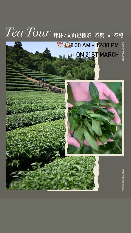 第3回茶摘みツアーの開催について | 3rd Taiwan Tea Journey